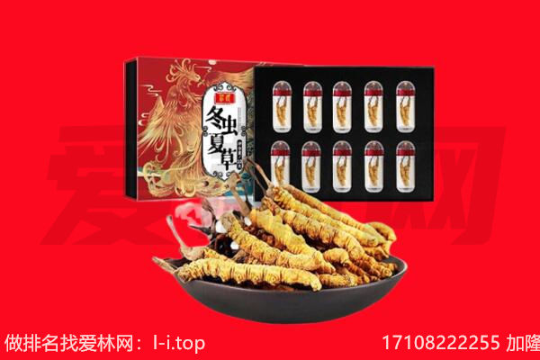 绥化安达市回收虫草.jpg